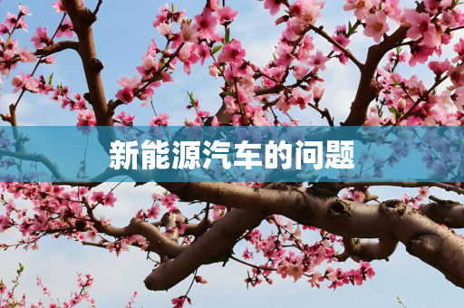 新能源汽车的问题