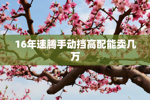 16年速腾手动挡高配能卖几万