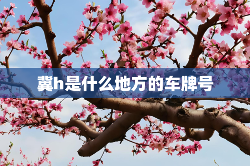冀h是什么地方的车牌号