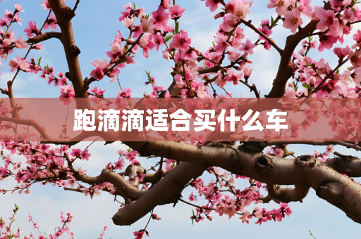 跑滴滴适合买什么车