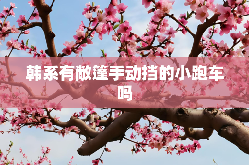 韩系有敞篷手动挡的小跑车吗