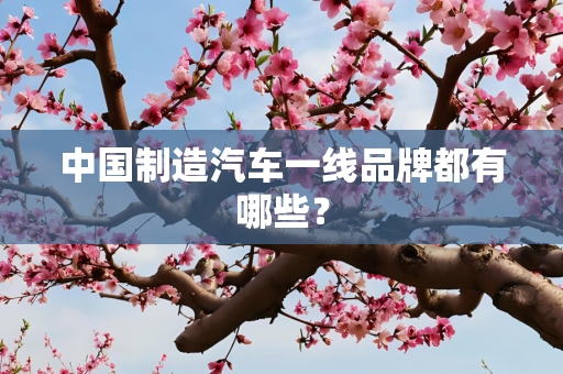 中国制造汽车一线品牌都有哪些？