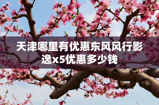 天津哪里有优惠东风风行影逸x5优惠多少钱