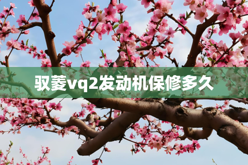 驭菱vq2发动机保修多久