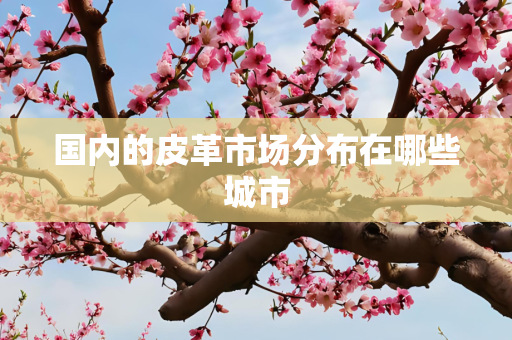 国内的皮革市场分布在哪些城市
