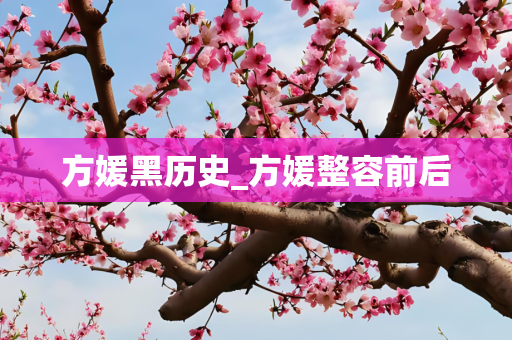 方媛黑历史_方媛整容前后