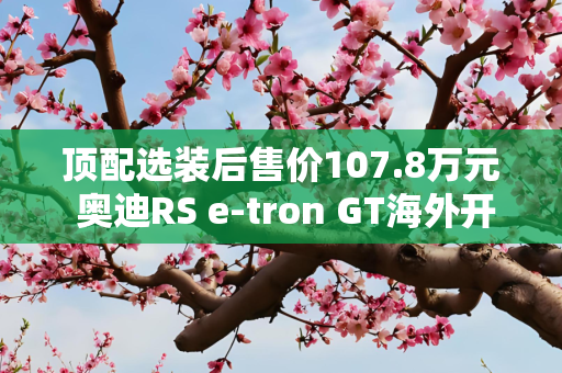 顶配选装后售价107.8万元 奥迪RS e-tron GT海外开售