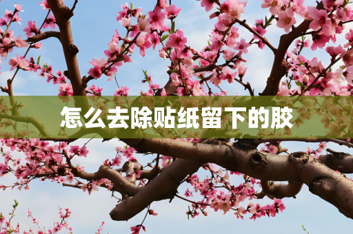 怎么去除贴纸留下的胶