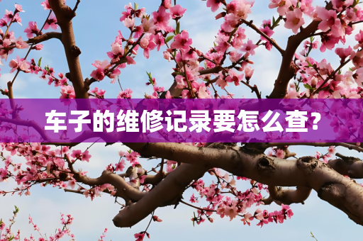 车子的维修记录要怎么查？