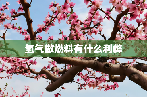 氢气做燃料有什么利弊