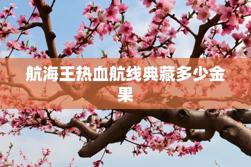 航海王热血航线典藏多少金果