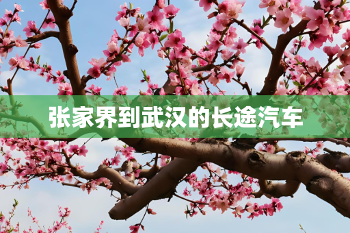 张家界到武汉的长途汽车