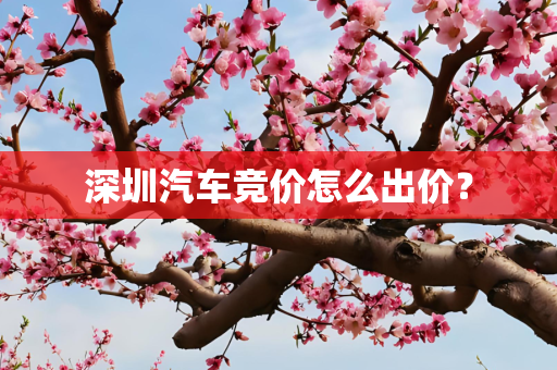 深圳汽车竞价怎么出价？