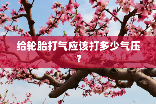 给轮胎打气应该打多少气压？