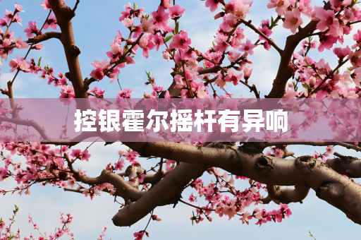 控银霍尔摇杆有异响