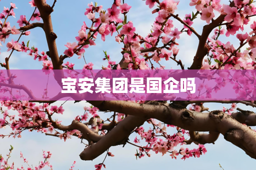 宝安集团是国企吗