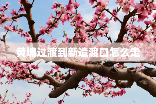 黄埔过渡到新造渡口怎么走