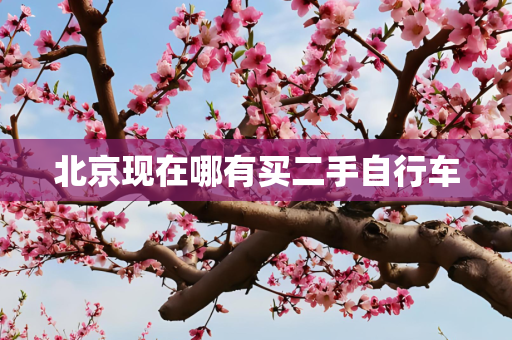 北京现在哪有买二手自行车