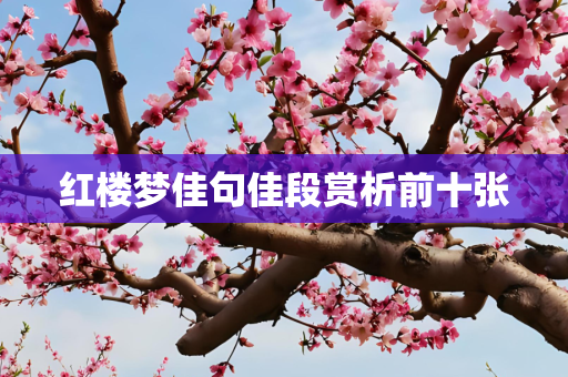 红楼梦佳句佳段赏析前十张