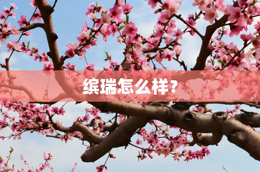 缤瑞怎么样？
