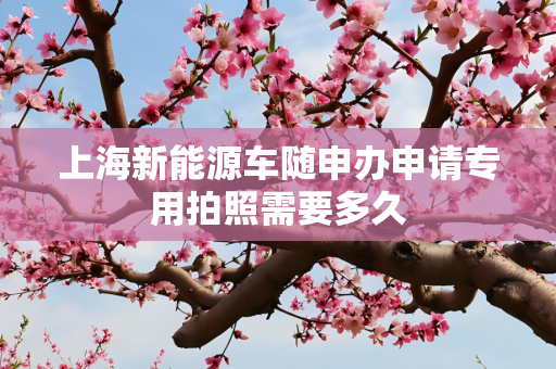 上海新能源车随申办申请专用拍照需要多久