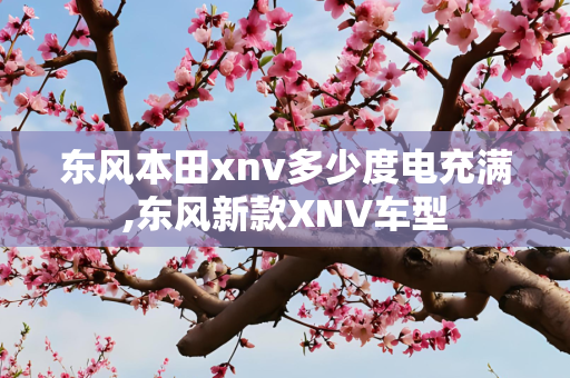 东风本田xnv多少度电充满,东风新款XNV车型