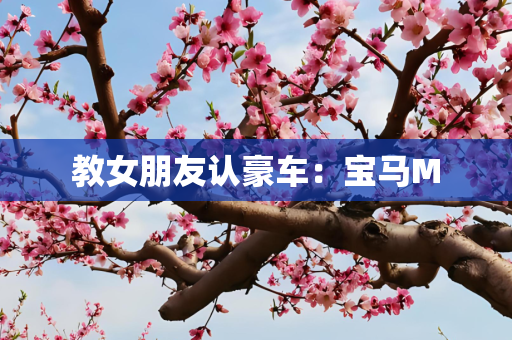教女朋友认豪车：宝马M