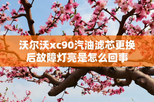 沃尔沃xc90汽油滤芯更换后故障灯亮是怎么回事