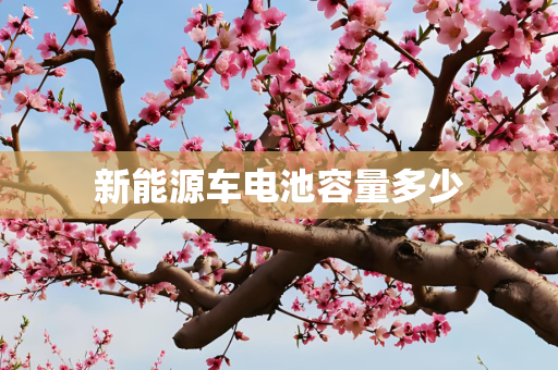 新能源车电池容量多少