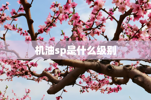 机油sp是什么级别