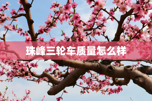 珠峰三轮车质量怎么样