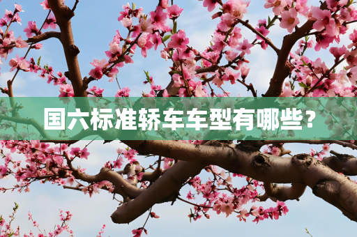 国六标准轿车车型有哪些？
