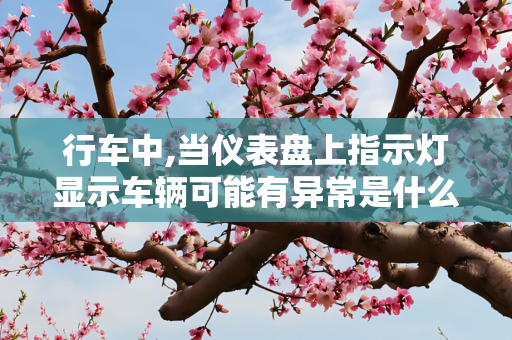 行车中,当仪表盘上指示灯显示车辆可能有异常是什么意思？