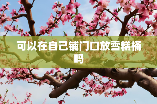 可以在自己铺门口放雪糕桶吗
