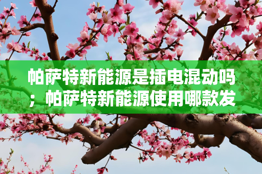 帕萨特新能源是插电混动吗；帕萨特新能源使用哪款发动机