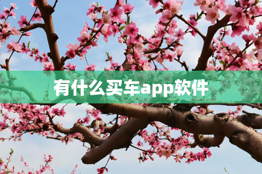 有什么买车app软件