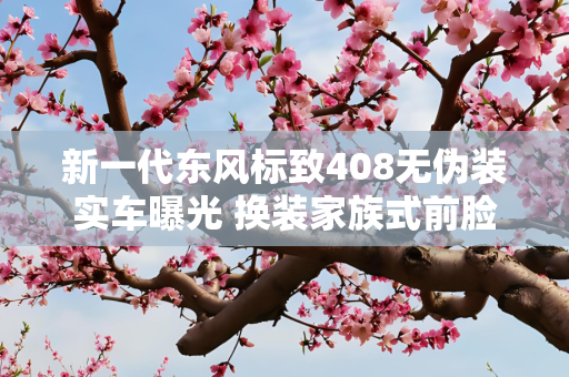 新一代东风标致408无伪装实车曝光 换装家族式前脸