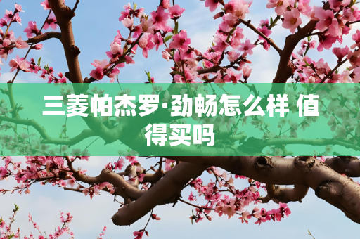 三菱帕杰罗·劲畅怎么样 值得买吗