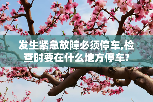 发生紧急故障必须停车,检查时要在什么地方停车?