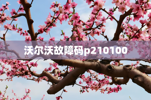 沃尔沃故障码p210100
