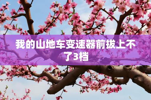 我的山地车变速器前拔上不了3档