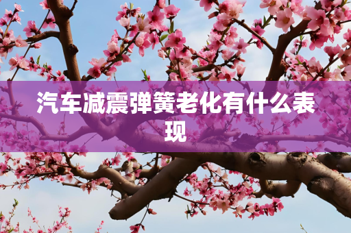 汽车减震弹簧老化有什么表现