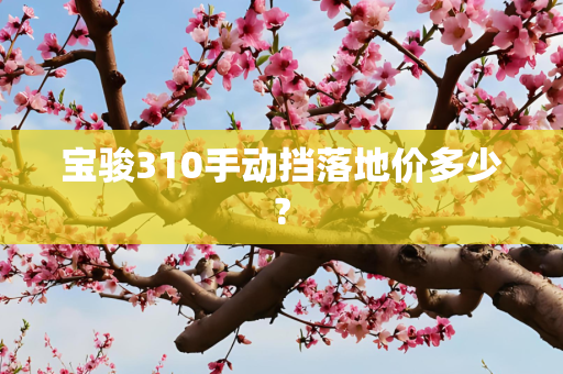 宝骏310手动挡落地价多少?