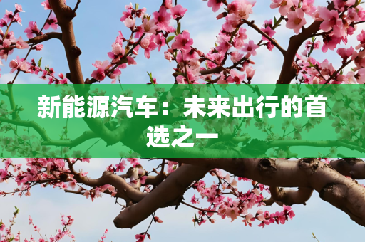 新能源汽车：未来出行的首选之一