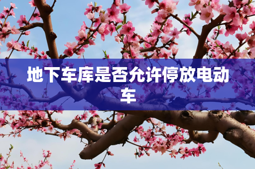 地下车库是否允许停放电动车