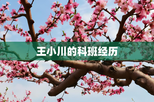 王小川的科班经历