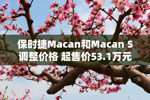 保时捷Macan和Macan S调整价格 起售价53.1万元