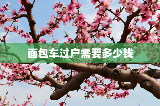 面包车过户需要多少钱