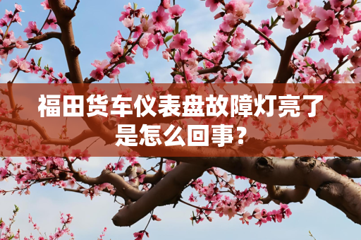 福田货车仪表盘故障灯亮了是怎么回事？