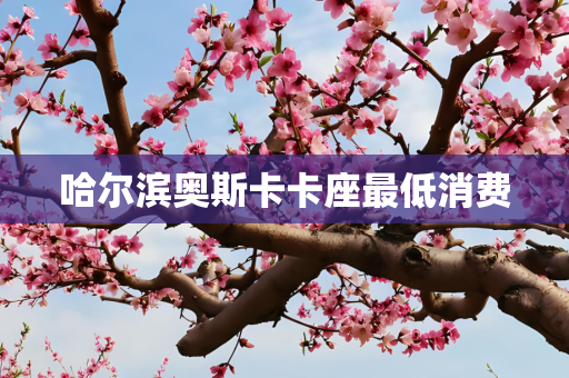 哈尔滨奥斯卡卡座最低消费